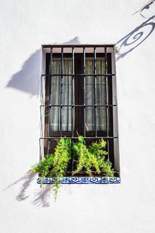 Casa Del Siglo XVII Villa เซบีญา ภายนอก รูปภาพ