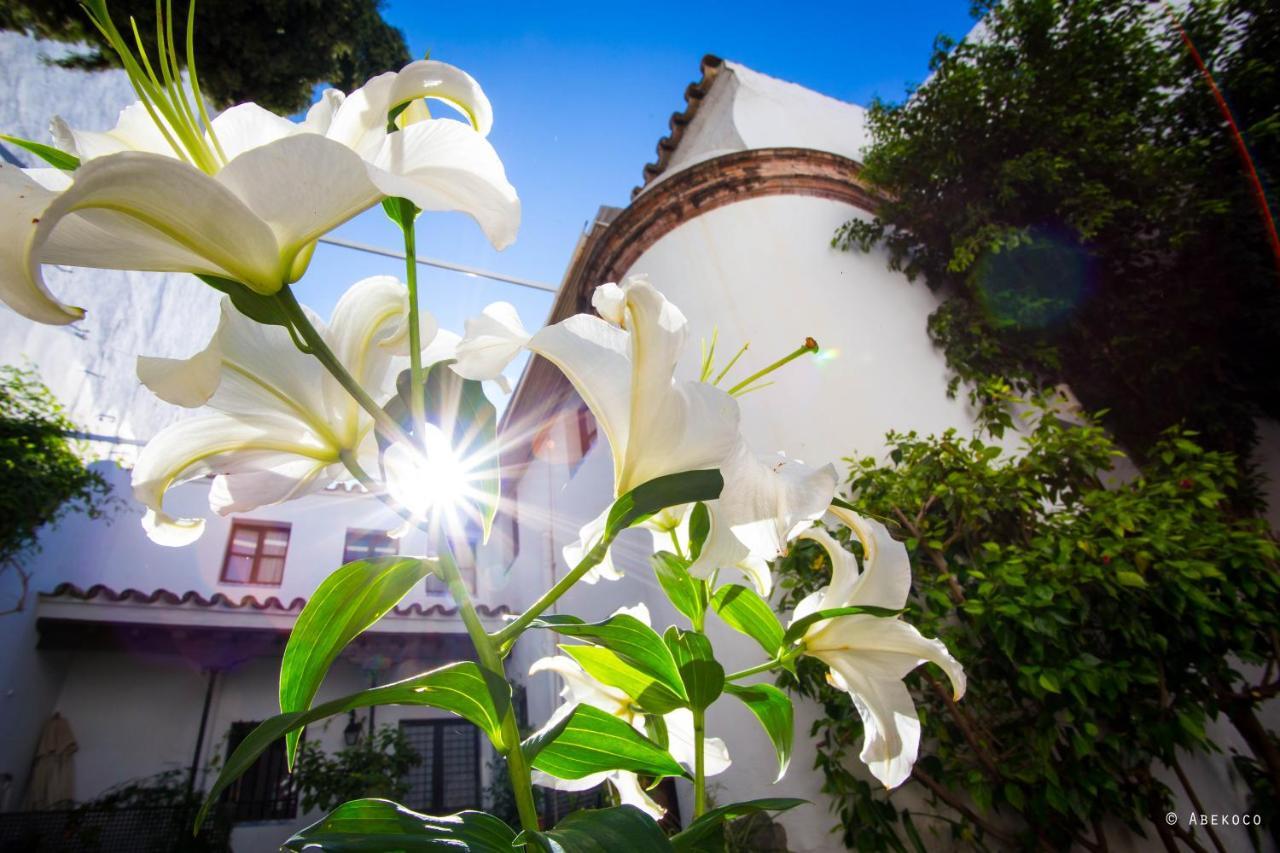 Casa Del Siglo XVII Villa เซบีญา ภายนอก รูปภาพ