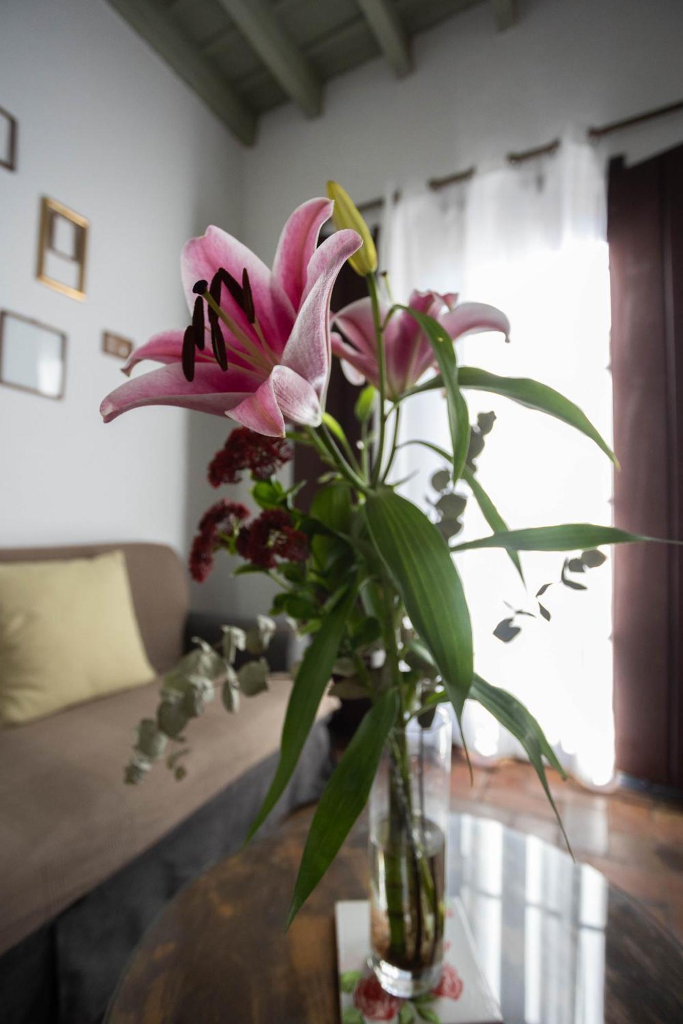 Casa Del Siglo XVII Villa เซบีญา ภายนอก รูปภาพ