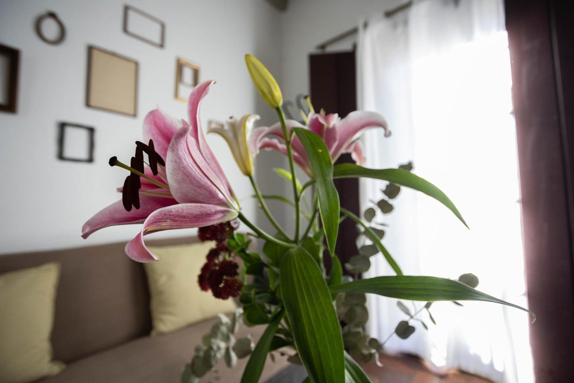 Casa Del Siglo XVII Villa เซบีญา ภายนอก รูปภาพ